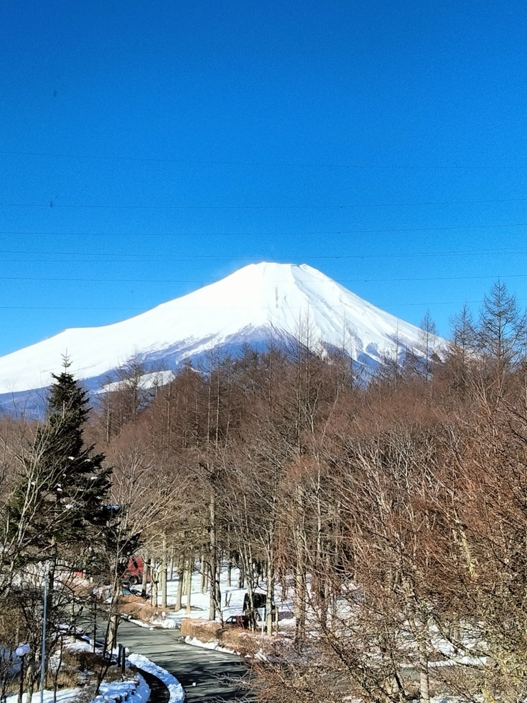 ホテル周辺から望む富士山