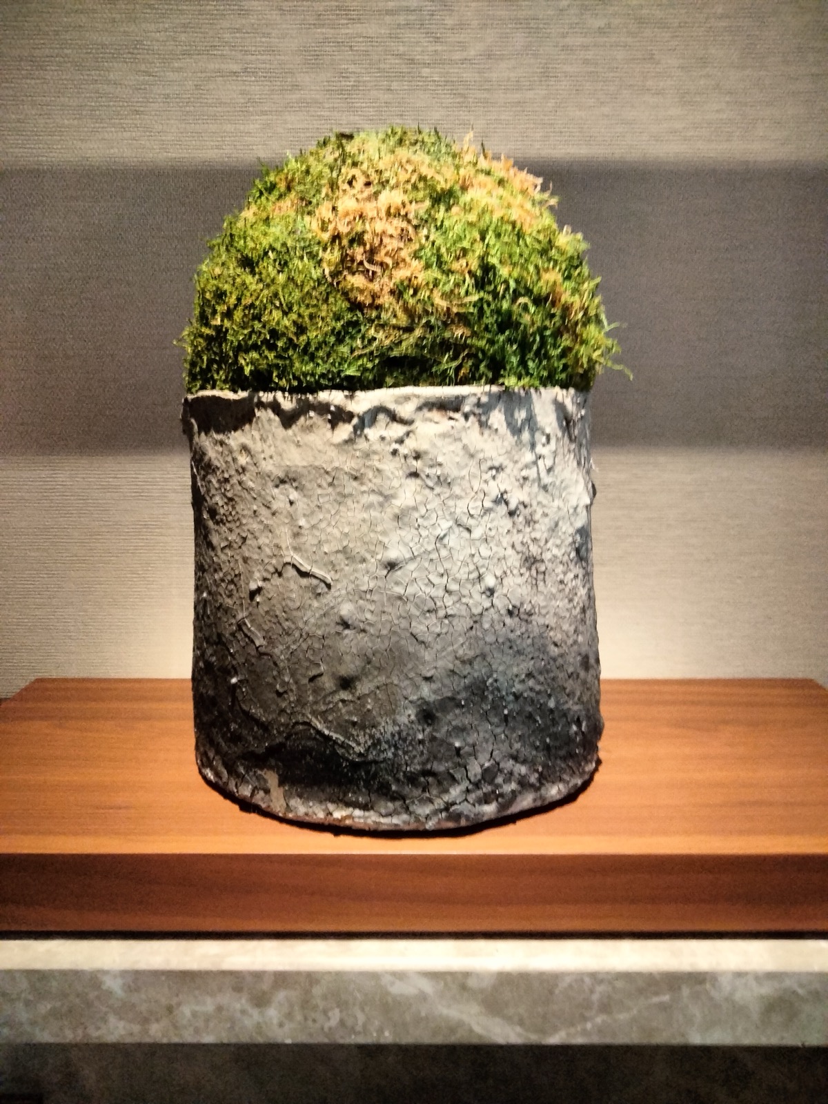 部屋のしつらえに飾られた苔